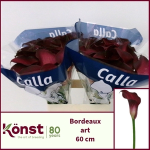 ZANT BORDEAUX ART