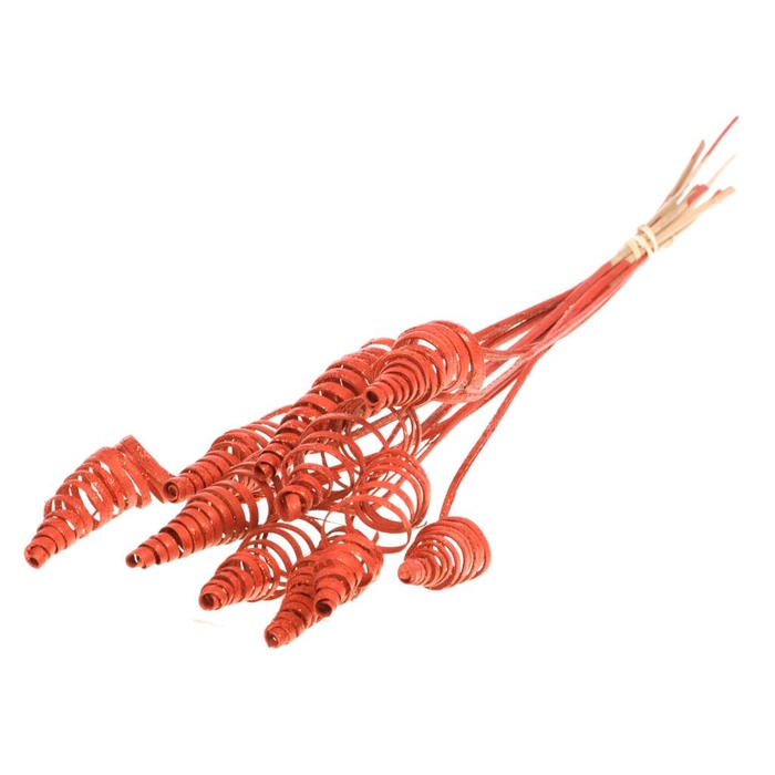 <h4>C Cone Red R Glt</h4>