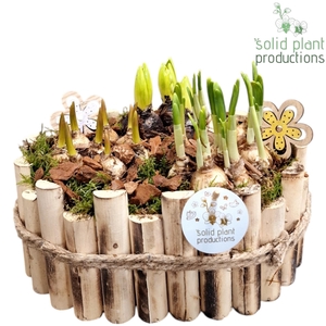 HHTM007 Bologna Large Bolmix