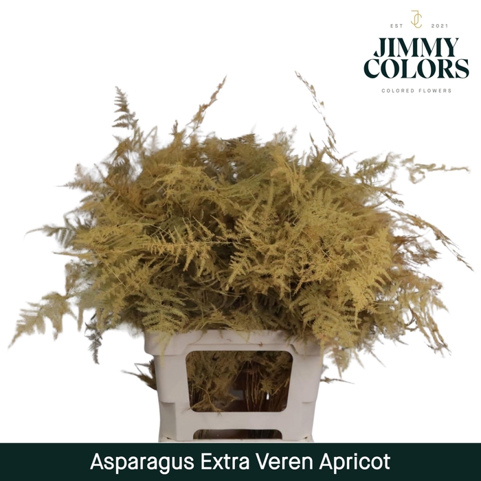 <h4>Aspa extra veren Apricot</h4>