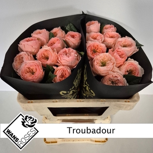 RS GR TROUBADOUR