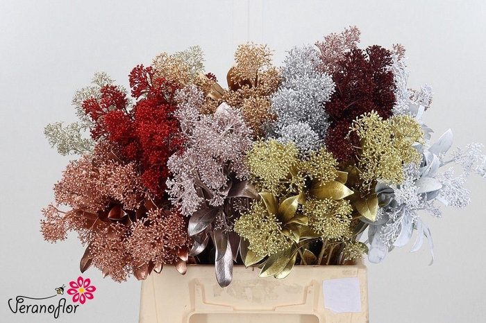 <h4>SKIM OV BS KLB H%</h4>