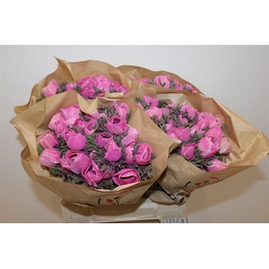 Anem Marianne Powder Fuchsia