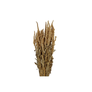 Dried Amaranthus Caud. Green Bunch