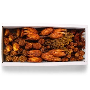 Exotic Assorti Aspen Gold ( 70 St )