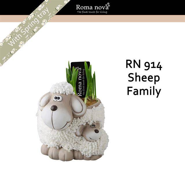 <h4>arr4 Narcis RN - Sheep family</h4>