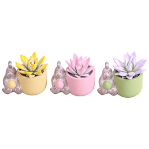 Easter Arr. Succulent Ceramic Pot Chicken Egg Ø14cm 1PP