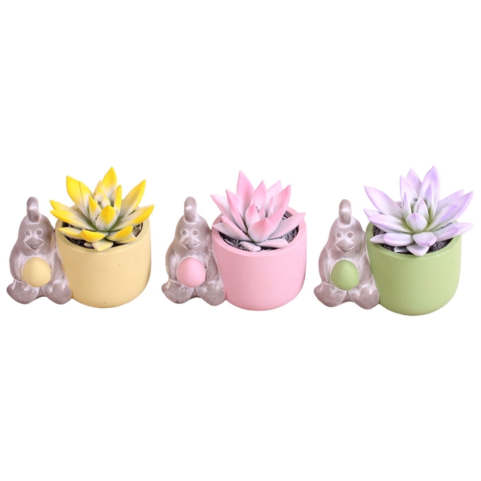 <h4>Easter Arr. Succulent Ceramic Pot Chicken Egg Ø14cm 1PP</h4>