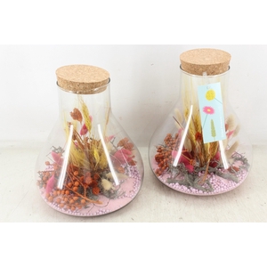 arr2 MB - Droogbl. paris groot x3