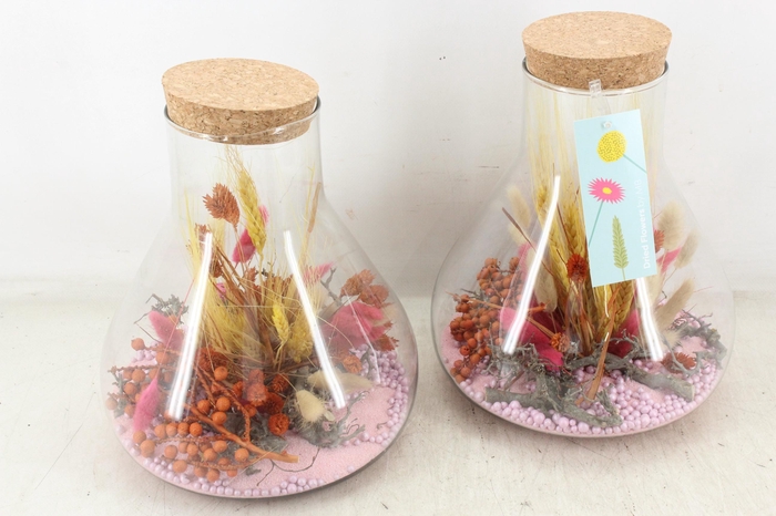 <h4>arr2 MB - Droogbl. paris groot x3</h4>