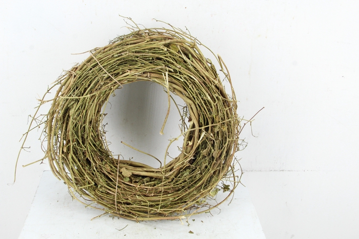 <h4>WREATH HOP BRANCHES 35CM</h4>