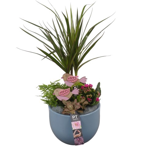 <h4>PTIB6529 Arrangement Indoor in keramiek pot</h4>