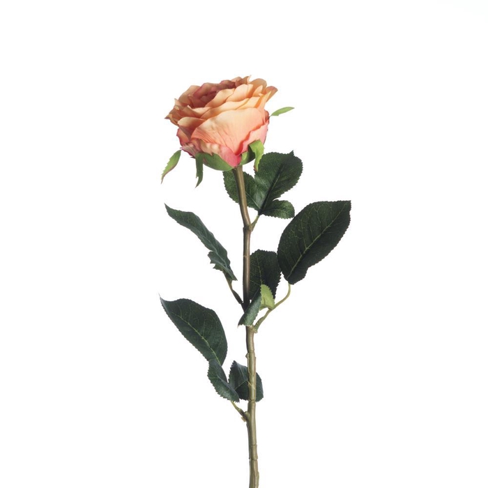 <h4>AF Rosa L68cm Orange</h4>