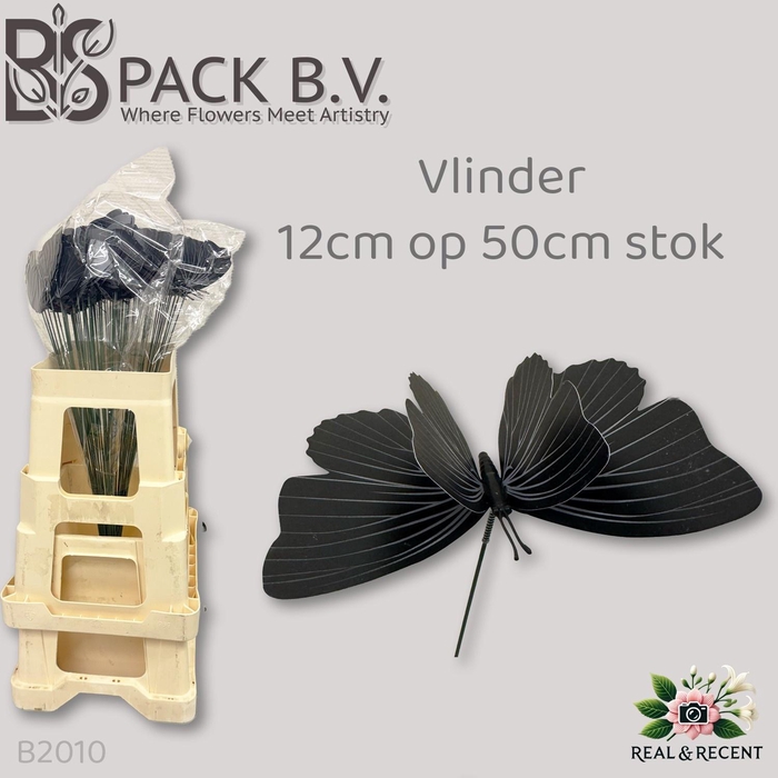 <h4>HUIS EN TUINDECO H%</h4>