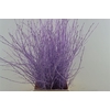 Berk 70cm Milka Pbs