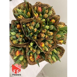 TU DU GEM Orange Mix