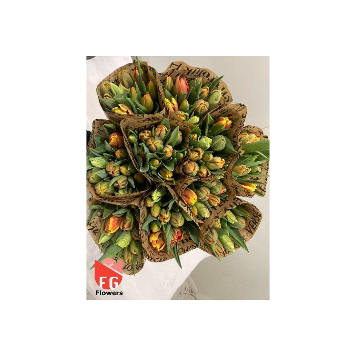 <h4>TU DU GEM Orange Mix</h4>