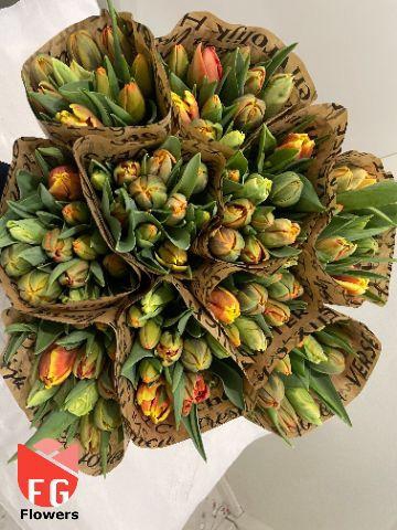 TU DU GEM Orange Mix