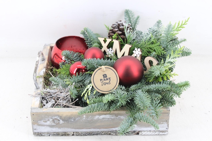 <h4>arr5 Kerst PL - Hout 4kant dienblad Rood</h4>