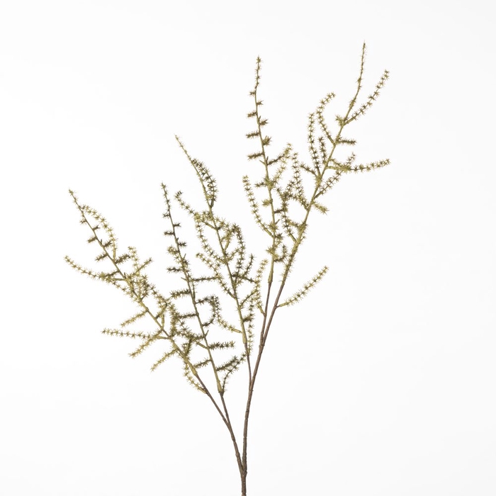 <h4>AF Asparagus Spr L102cm Green</h4>