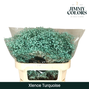 Gyps Xlence l70 Turquoise