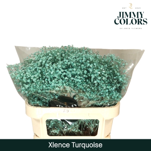 <h4>Gyps Xlence l70 Turquoise</h4>