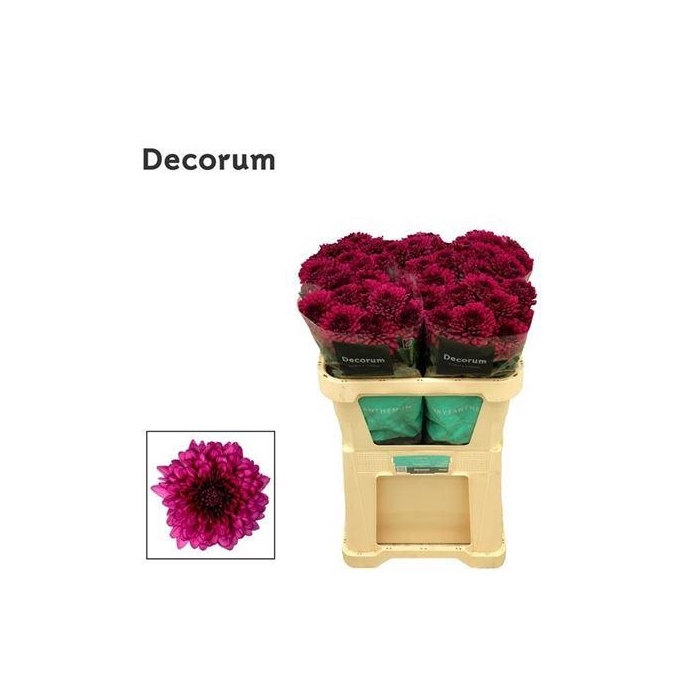 <h4>Chr G Lamira</h4>