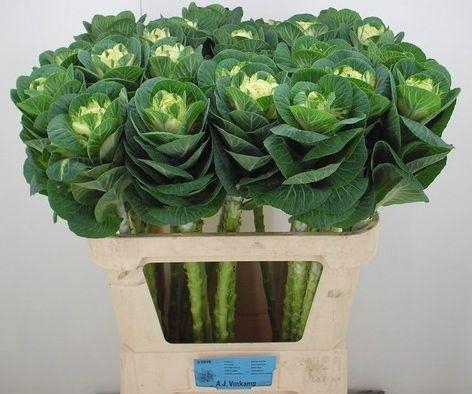 <h4>BRASS WHITE CRANE</h4>