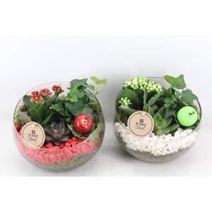 arr2 PL - Glas bol schuin - rood/wit