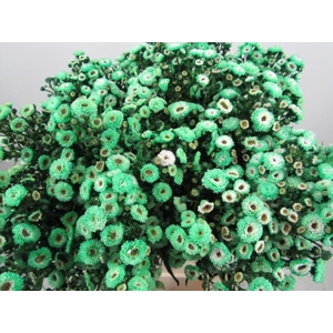 Ast G Groen