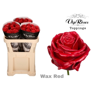 R Gr Vip Wax Red X30