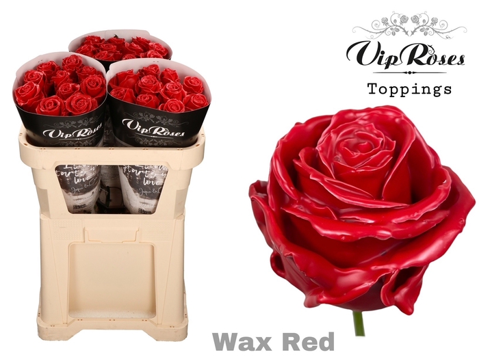 <h4>R Gr Vip Wax Red X30</h4>