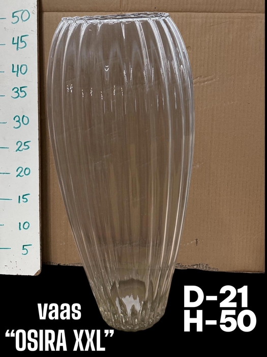 <h4>GLAZEN VAZEN H%</h4>