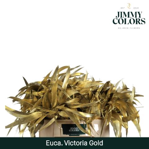 <h4>Victoriablad Gekleurd Mtlc. Goud</h4>