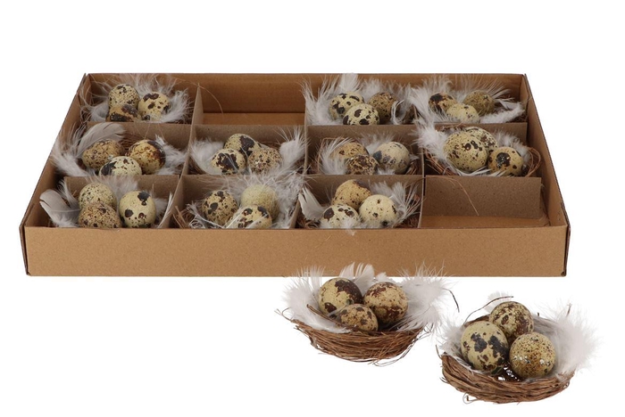 <h4>Egg Quail In Nest Per 12 Pieces</h4>