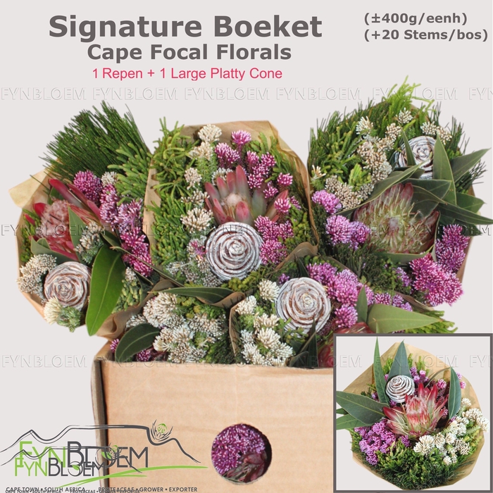 <h4>PROTEA PER BOS</h4>