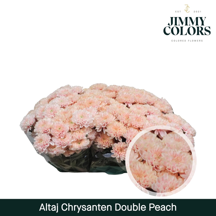 <h4>Chr T Altaj Double Peach</h4>