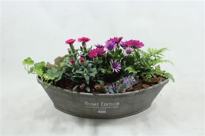 <h4>2594 Xl Kano Home Edition Green</h4>