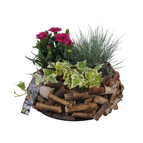 <h4>PTSO8324 Arrangement Summer Outdoor in houten bak</h4>