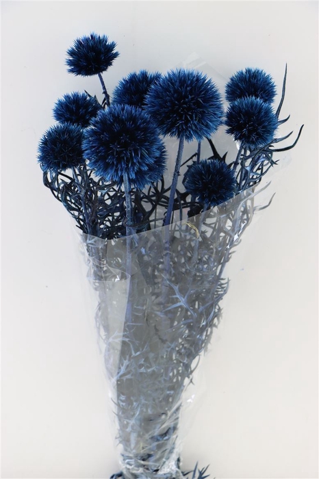 <h4>Pres Echinops 10pc D Blue Bunch</h4>