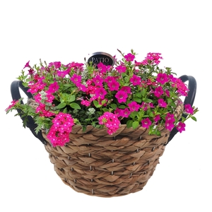 Arr.   Perkplanten L%