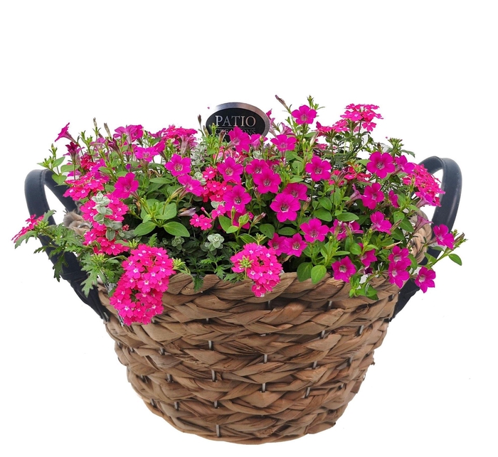 <h4>Arr.   Perkplanten L%</h4>