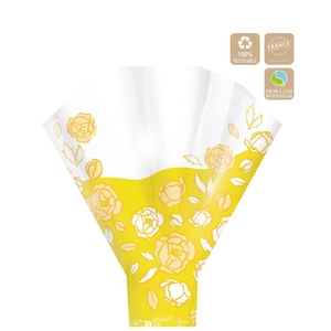 Caprice 50*44*12cm x50