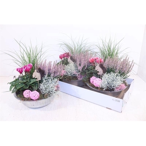 ARR TUINPLANTEN