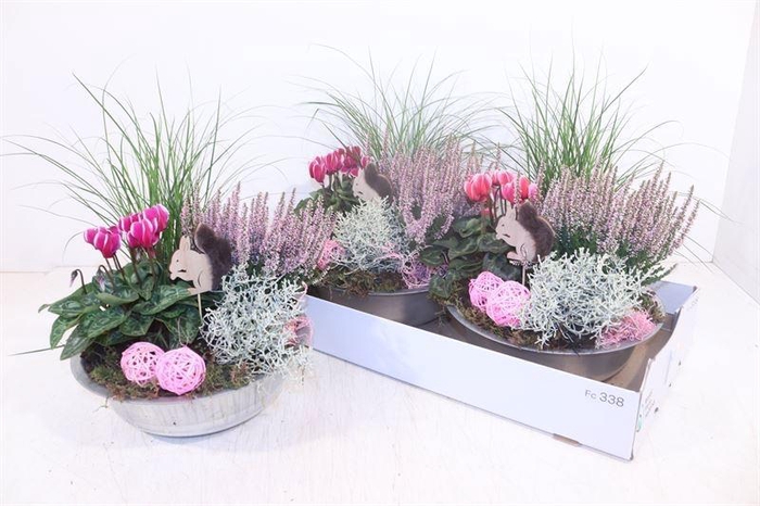 <h4>ARR TUINPLANTEN</h4>
