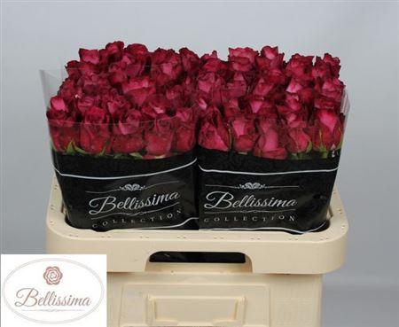 <h4>R Gr Inevitable</h4>