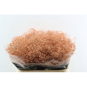 Gyps Grof Salmon (dip)