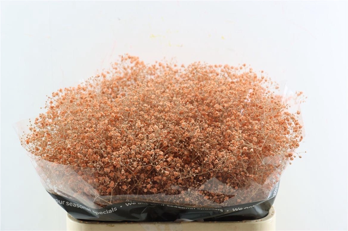 <h4>Gyps Grof Salmon (dip)</h4>