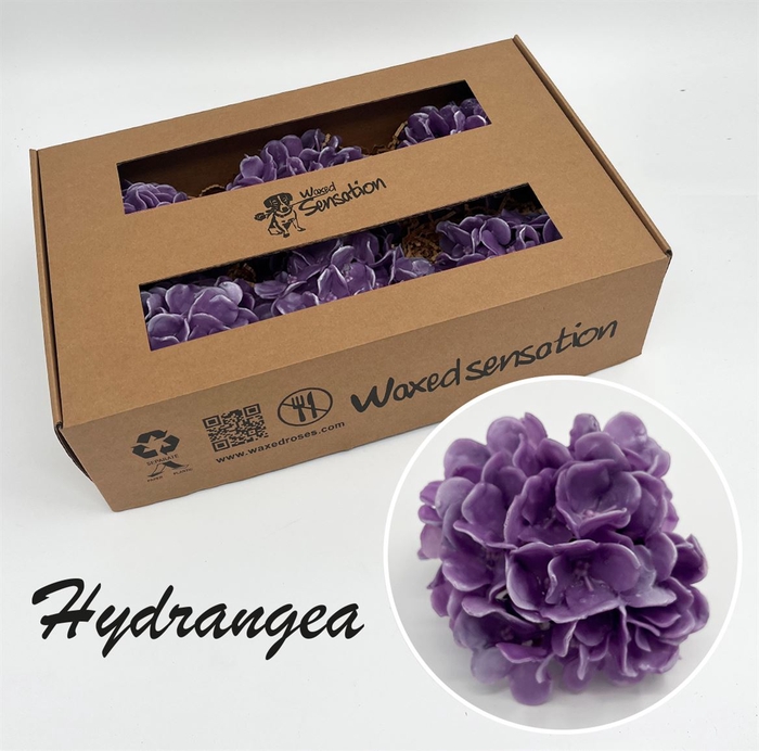 <h4>Zijde Wax-Hydrangea Hydr Wax Zijde Licht Paars</h4>