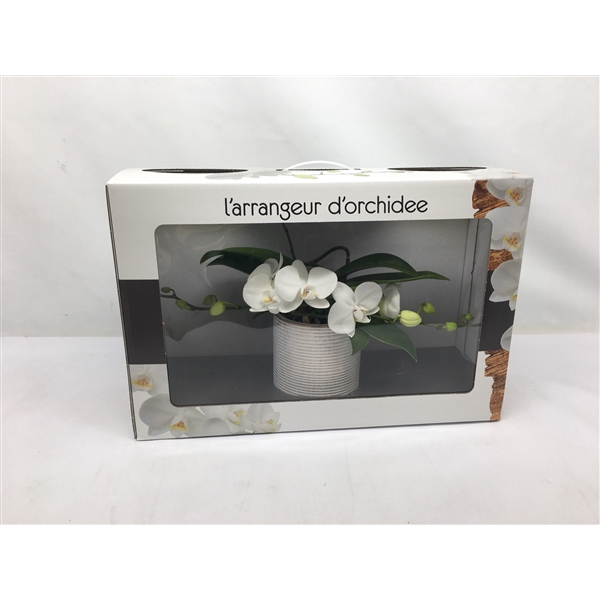 <h4>L'arrangeur D'orchidee (GROEN)</h4>